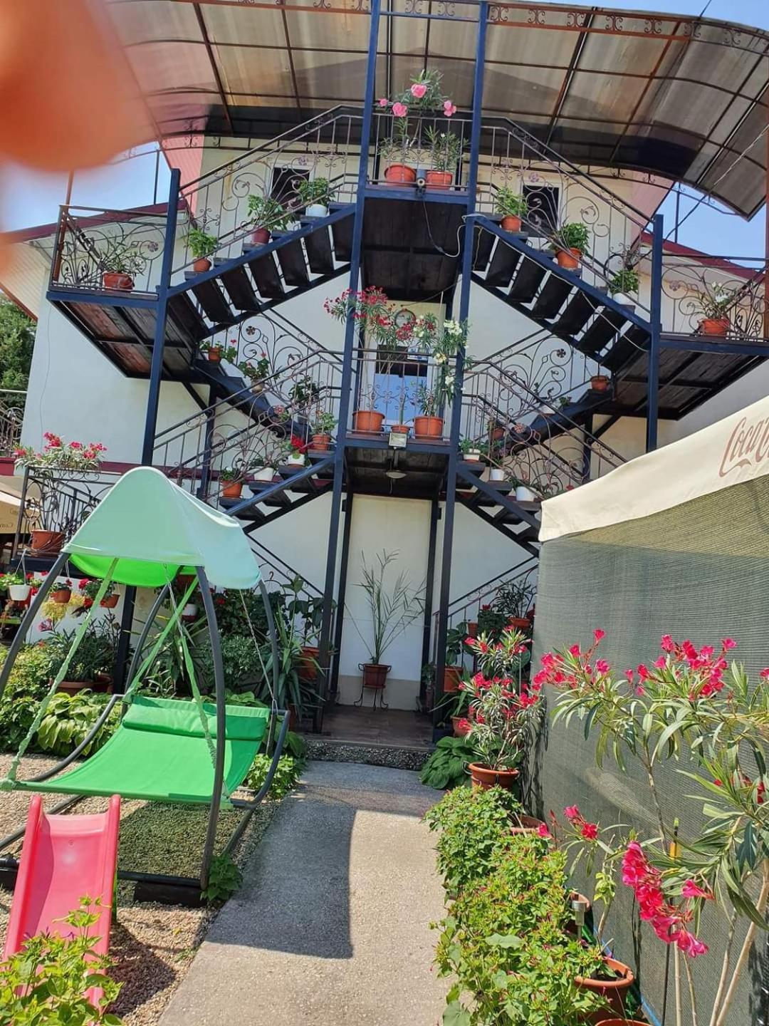 Vila Robert Hotell Schitu Exteriör bild